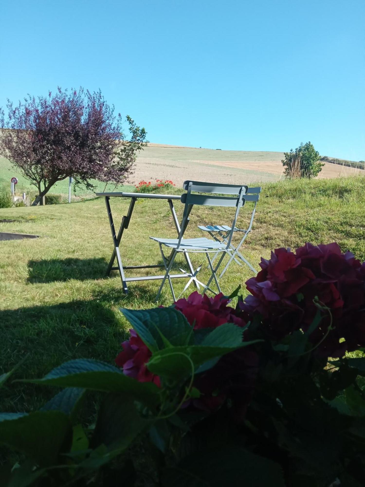 Bed and Breakfast Les Balcons Du Cap Escalles Esterno foto